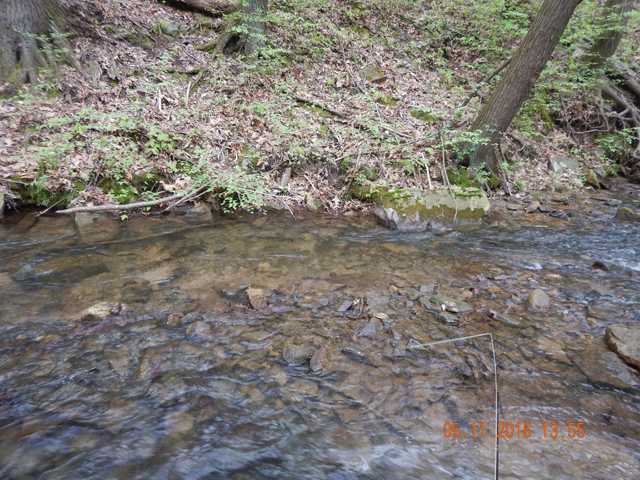 DSCN1224.jpg -                                