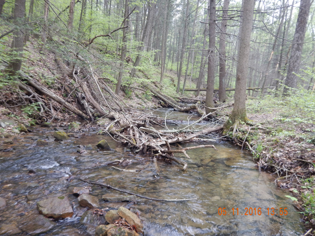 DSCN1225.jpg -                                