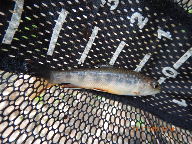 DSCN1226.jpg -                                