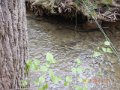 DSCN1199