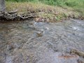 DSCN1202