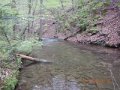 DSCN1205