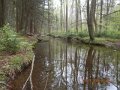 DSCN1216