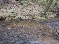 DSCN1224