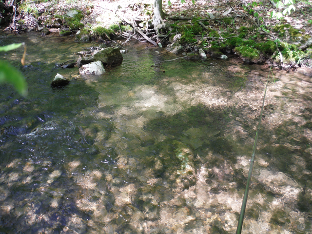 DSCF9325.jpg - The water was just right.  Deeper pools and crystal clear.