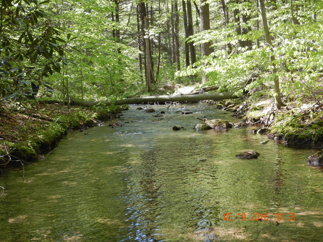 DSCN1261.jpg - If I were a fish, I'd live here too.  Ed and I took turns catching fish at this spot.                               