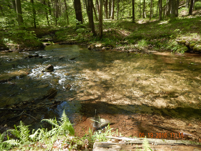 DSCN1265.jpg -                                There was a feeder entering the main stem from the top of the pic.  Fish were gathered here.