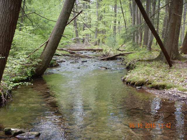 DSCN1284.jpg -                                20 and 30 foot casts were possible in spots...even advisable in spots.