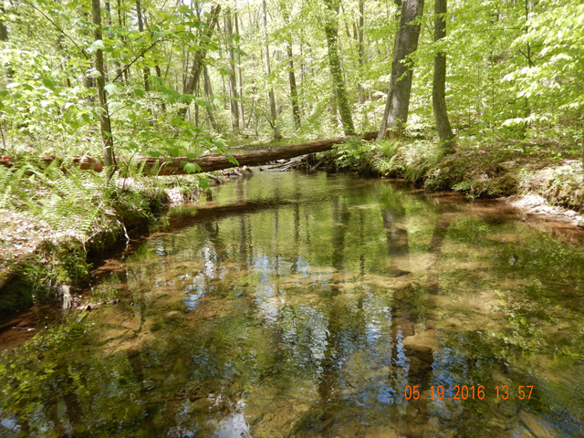 DSCN1286.jpg -                                Ed and I both fished this spot, hence the repeat of a pic.