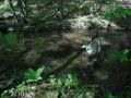 DSCF9317