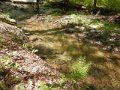 DSCN1270