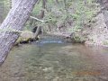 DSCN1291
