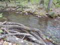 DSCN1293
