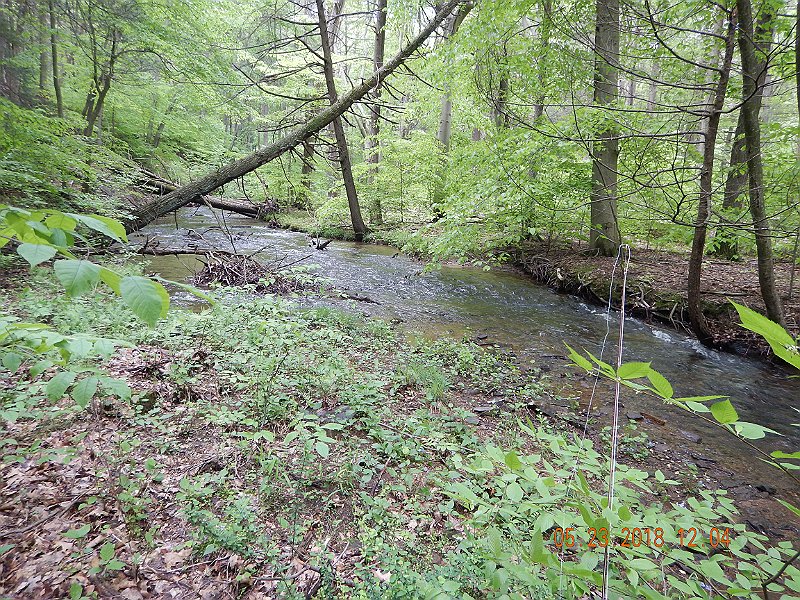 DSCN3226.jpg - This is a section of the stream we seldom fish.  Usually we like the upstream areas better.