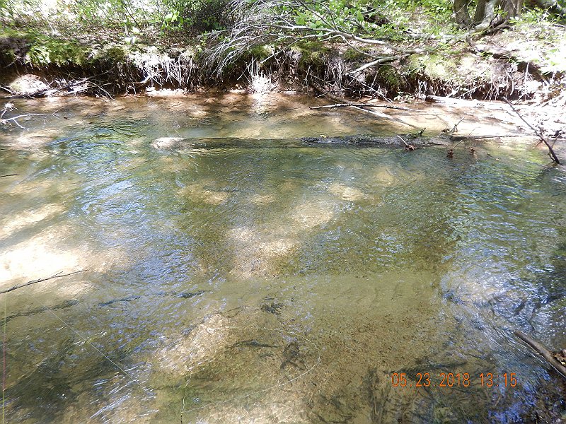 DSCN3229.jpg - And there were trout here as well.