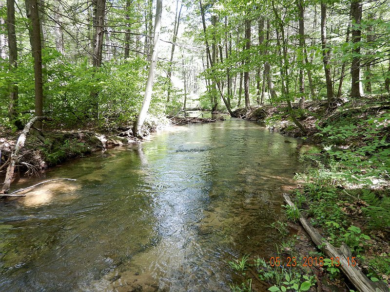 DSCN3230.jpg - Long open stretches of stream like this begged for a dry fly.