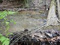 DSCN3222