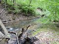 DSCN3223