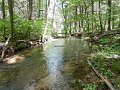 DSCN3230