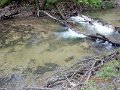 DSCN3232