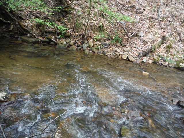 10.jpg - The environment is mostly responsible for the vivid colors.  This run held fish.