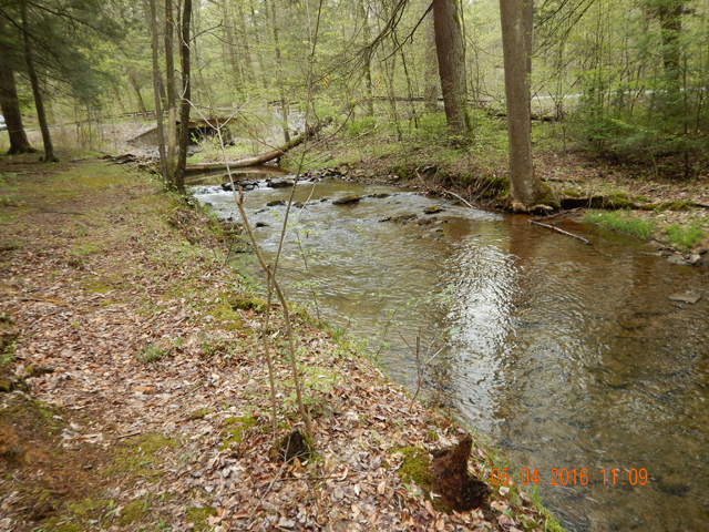 22.jpg -                                The stream is really nice.  Nothing like our previous experience at Shaeffer.