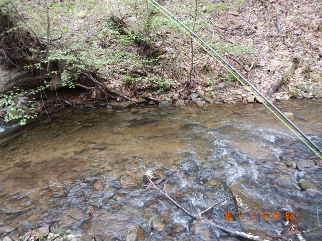 29.jpg -                                Little bank undercut produced this fish.