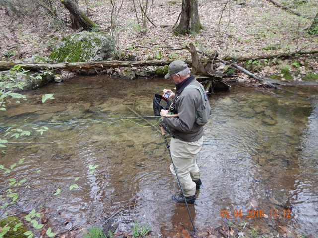 34.jpg -                                Here he is grabbing another pic.