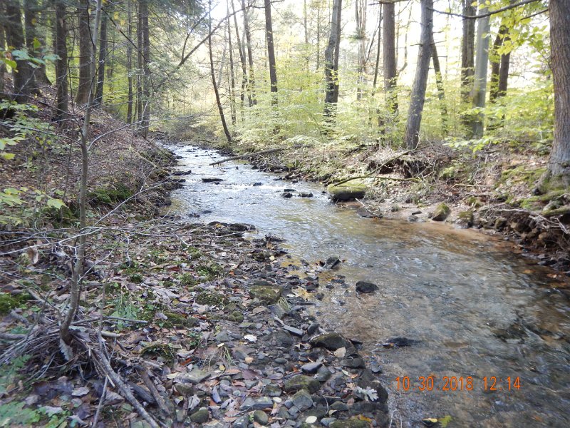 $Shaeffer011$.jpg - Like I said, the stream was perfect.  I thought we'd have gotten more.