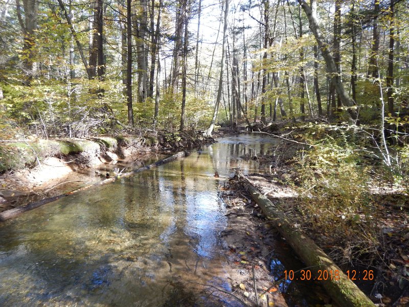 $Shaeffer014$.jpg - Where the water got backed up you could generally catch chubs.