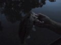 DSCF0160