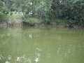 DSCF0089