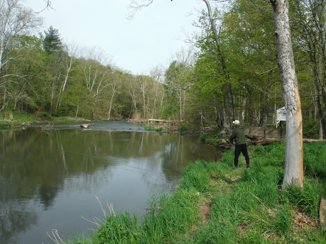 1.jpg - Saw a boil but just wanted to see if the fish were going to be cooperative.