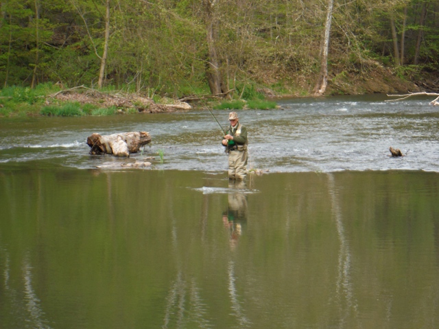 2.jpg - And, once we got suited up, the fish did bite...a little.