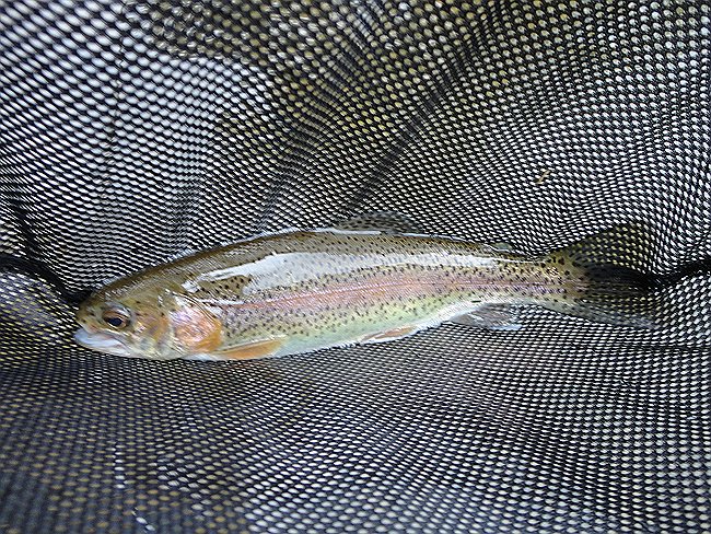DSC00153001.jpg