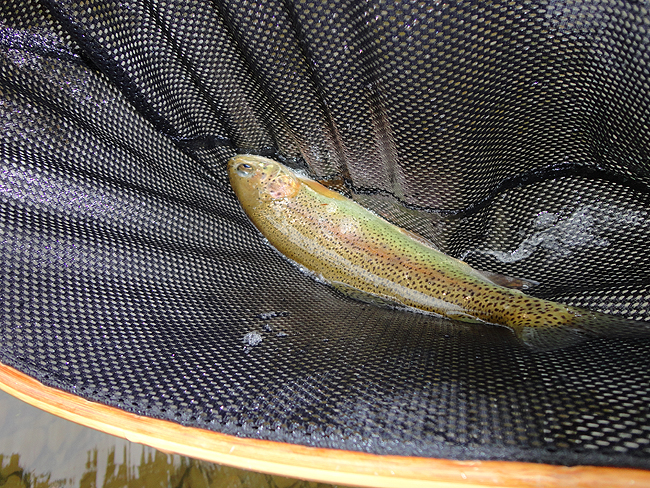 DSC00154001.jpg