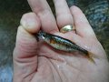 DSC00149001