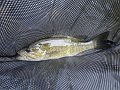 DSC00150001