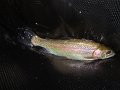 DSC00170001