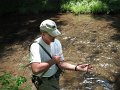 Anotherbrookie