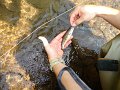 DSC00900