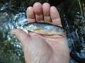 DSC00902
