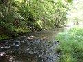 DSC00907