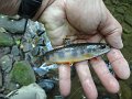 DSC00908