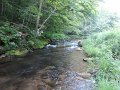 DSC00924