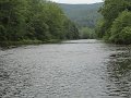 DSC00931