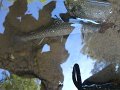 DSC00964
