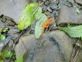 DSC01696