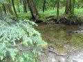 DSC01707