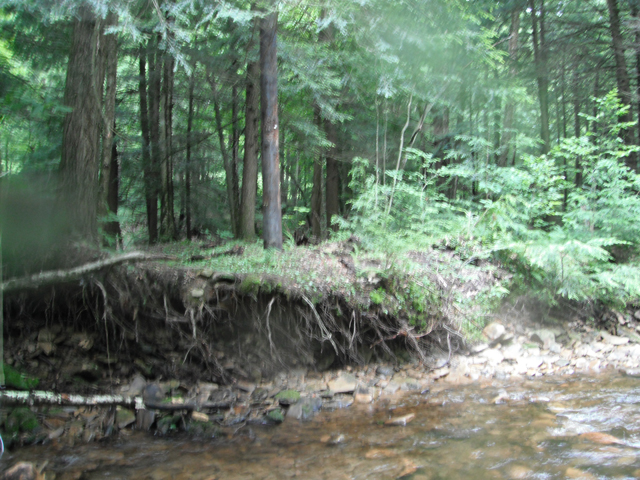 DSCF0431.jpg